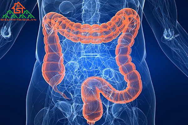 Bệnh Crohn