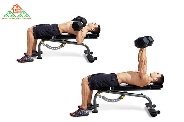 Các bài tập tạ tya tại nhà cho nam có thân hình đẹp
