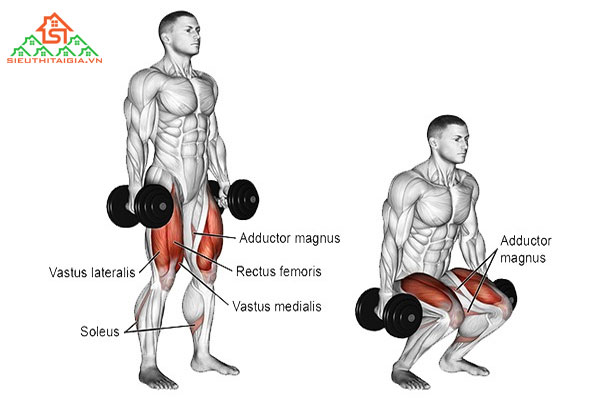 Các bài tập tạ tya tại nhà cho nam có thân hình đẹp