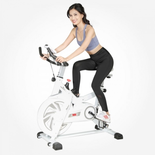 Xe đạp tập thể dục tại nhà loại nào tốt hiện nay?