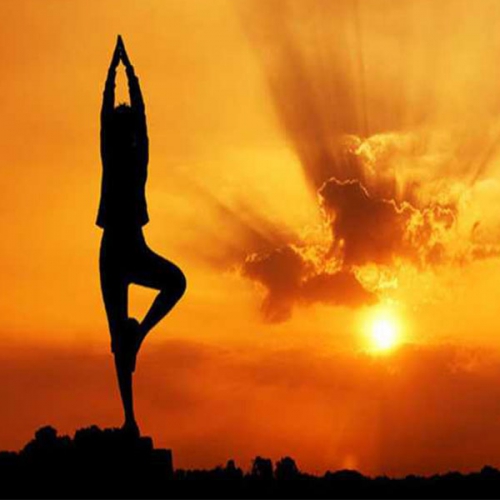 Chi Tiết Bài Tập Yoga Chào Mặt Trời Bắt Đầu Ngày Mới