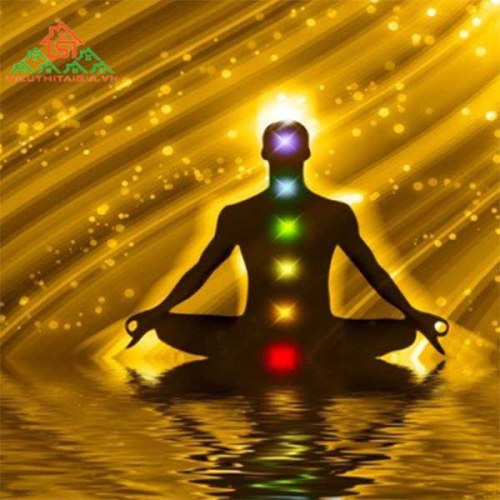 Patanjali Yoga Là Gì? Các Bước Luyện Tập Patanjali Yoga