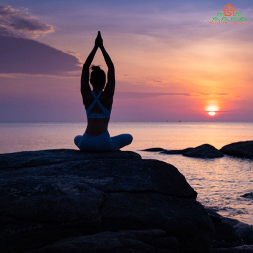 Pragya Yoga Là Gì? Các Tư Thế Pragya Yoga Phổ Biến