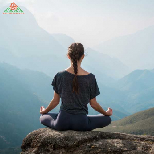 Yoga Cổ Điển Có Bao Nhiêu Cấp? Công Dụng Của Từng Cấp Độ