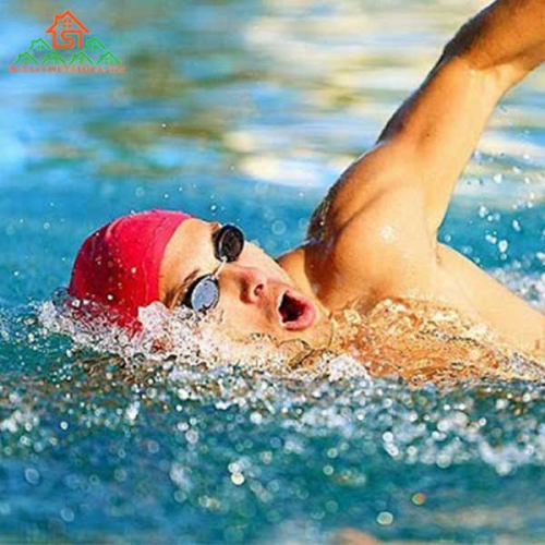 Hướng Dẫn Cách Bơi Bướm Đúng Kỹ Thuật