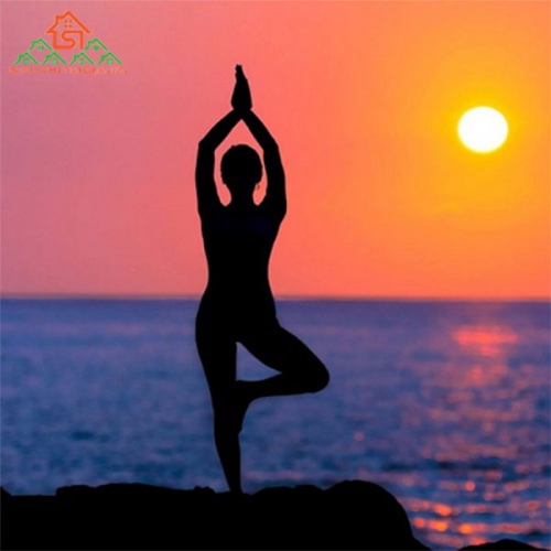 Yoga Là Gì? Lịch Sử Của Yoga