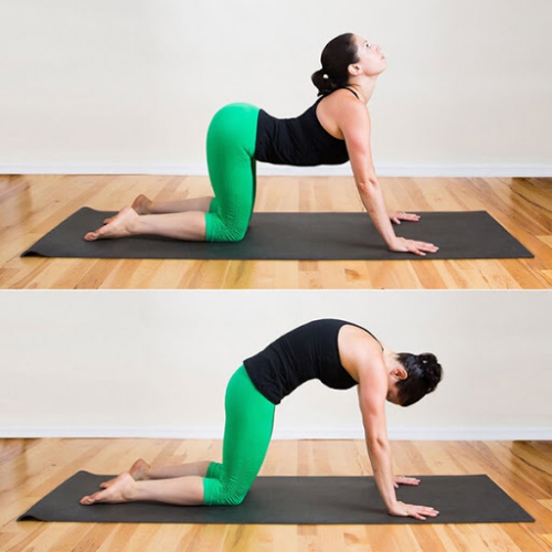 Các Động Tác Yoga Giảm Đau Mỏi Cổ Vai Gáy An Toàn Và Hiệu Quả