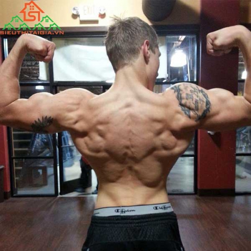 Xây Dựng Lưng Chữ V Săn Chắc Với Các Bài Tập Lưng Tại Nhà