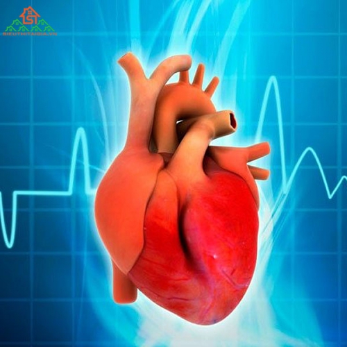 Chỉ Số Bpm Là Gì Và Thông Tin Cần Biết Về Bpm
