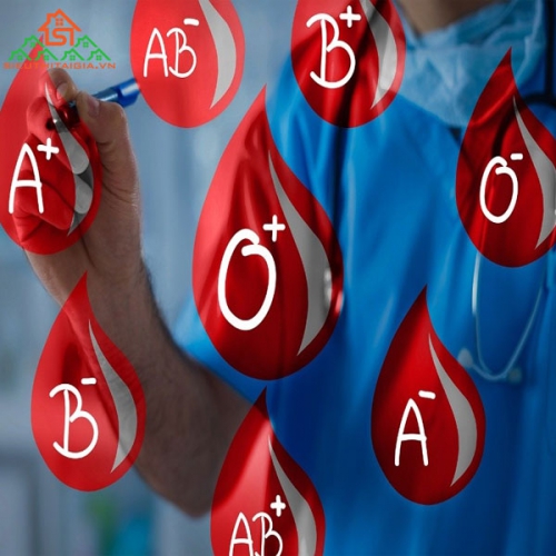 Những điều cần biết về các nhóm máu