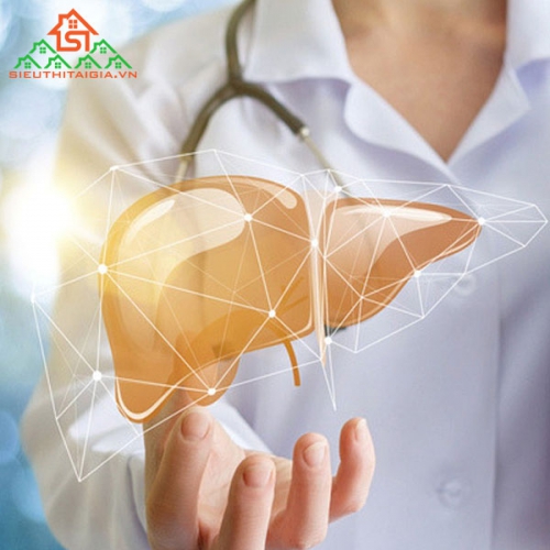 Chức Năng Của Gan Đối Với Cơ Thể 