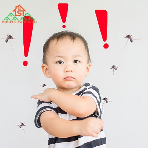 Những Điều Cần Biết Về Bệnh Sốt Xuất Huyết
