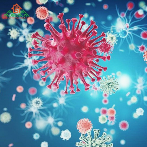 HIV là gì? Những điều bạn cần biết về HIV