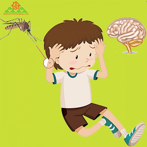 Viêm Não Nhật Bản Và Những Nguy Hiểm Bạn Cần Biết