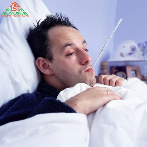 Bệnh Thương Hàn Do Đâu? Các Triệu Chứng Khi Mắc Bệnh