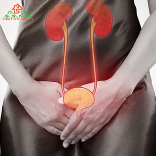 Dấu hiệu, nguyên nhân và cách điều trị bệnh nhiễm trùng đường tiểu