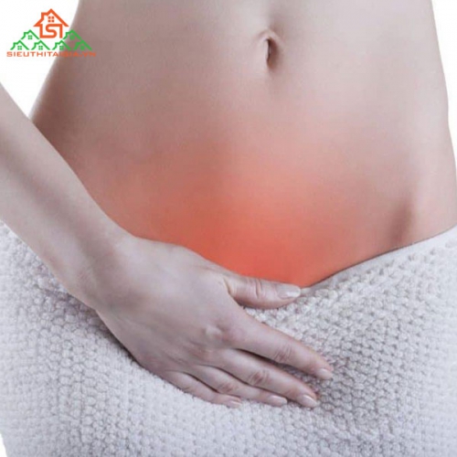 Cách Chữa Viêm Đường Tiết Niệu Tại Nhà Bằng Thảo Dược