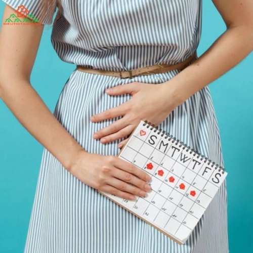 Cách Tính Chu Kỳ Kinh Nguyệt