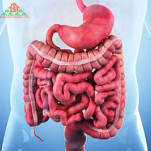 Tìm Hiểu Bệnh Crohn: Nguyên Nhân và Điều Trị