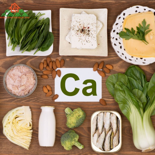 Top 10 Loại Thực Phẩm Giàu Canxi Nhất