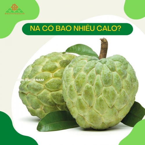 1 quả na chứa bao nhiêu calo? Ăn na có béo không?