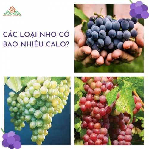 100g nho đỏ, nho xanh, nho đen, nho khô bao nhiêu calo?