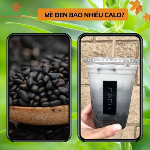 Mè đen bao nhiêu calo? Sữa mè đen bao nhiêu calo?