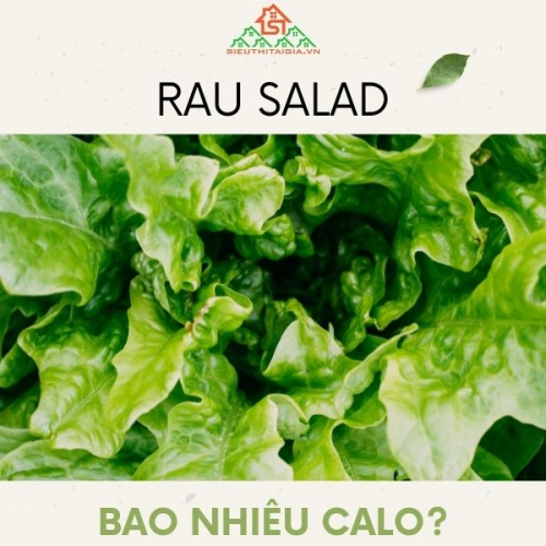 Rau salad bao nhiêu calo? Ăn rau xà lách giảm cân thế nào?