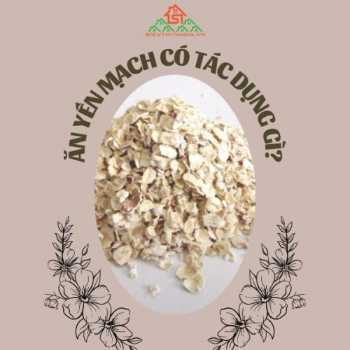 Ăn yến mạch có tác dụng gì? Ai không nên ăn yến mạch?