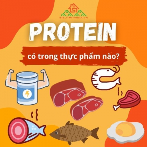 Protein có trong thực phẩm nào? Bí quyết bổ sung protein đúng cách
