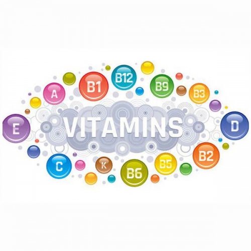 Những vitamin tan trong nước cần thiết cho cơ thể