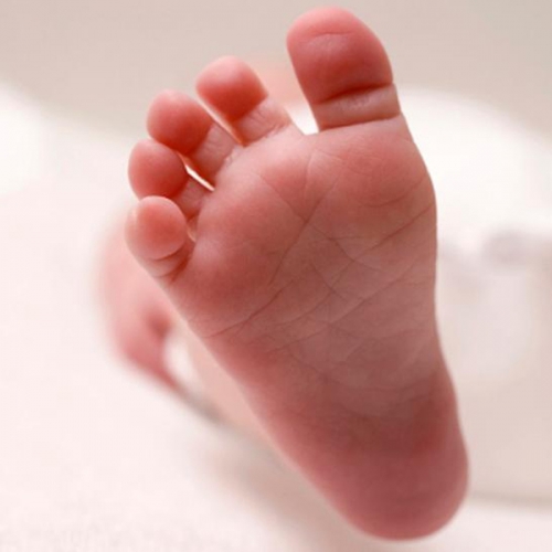 Hoa chân nói lên điều gì? Đặc điểm chân biểu thị giàu sang