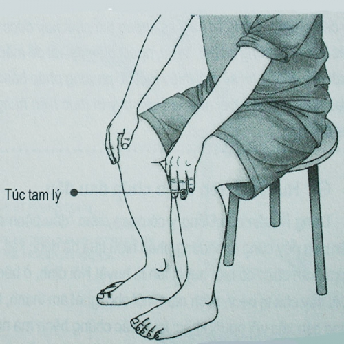 Huyệt túc tam lý nằm ở đâu?