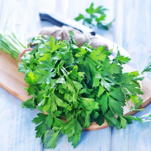 Công dụng của ngò rí khiến ai cũng bất ngờ