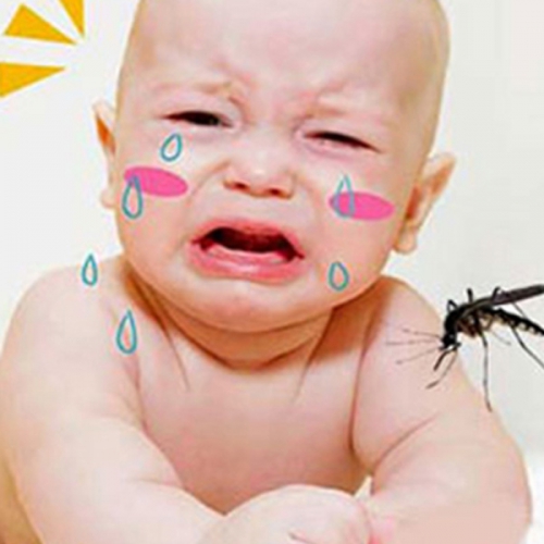 Bị côn trùng cắn sưng phù - xử trí ra sao?