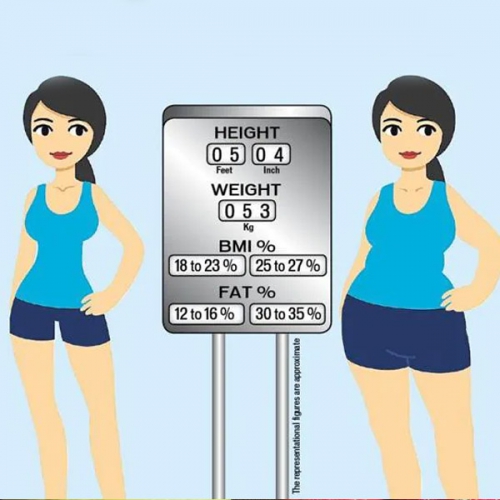 Phân biệt giảm cân và giảm mỡ để đạt được thân hình như ý