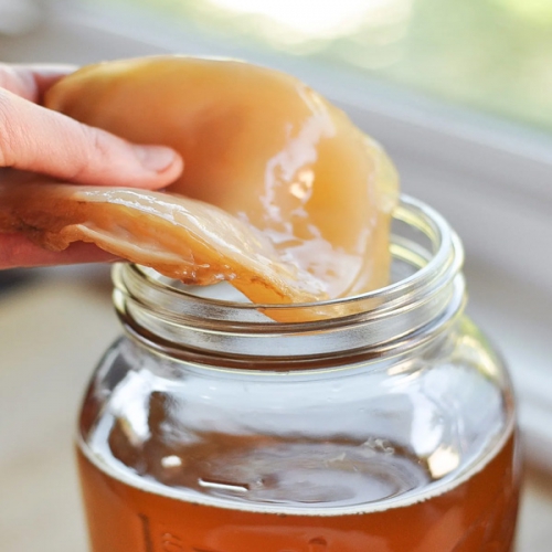 Kombucha là gì và tác dụng của kombucha