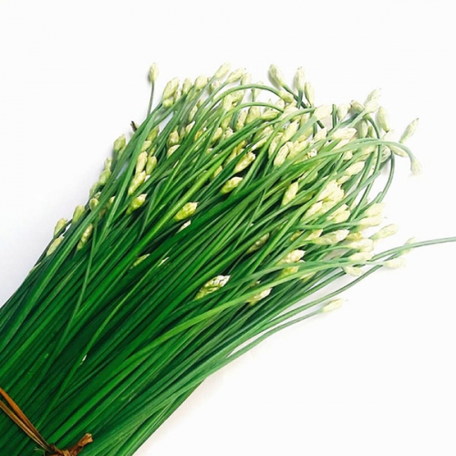Góc sức khỏe: lá hẹ có tác dụng gì đối với trẻ em?