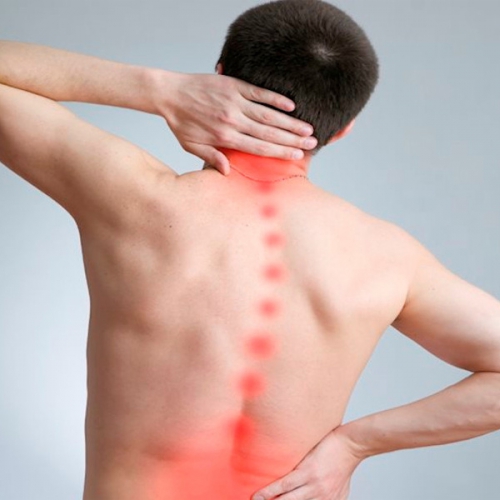 Cách massage lưng giúp thư giãn và giảm áp lực cột sống