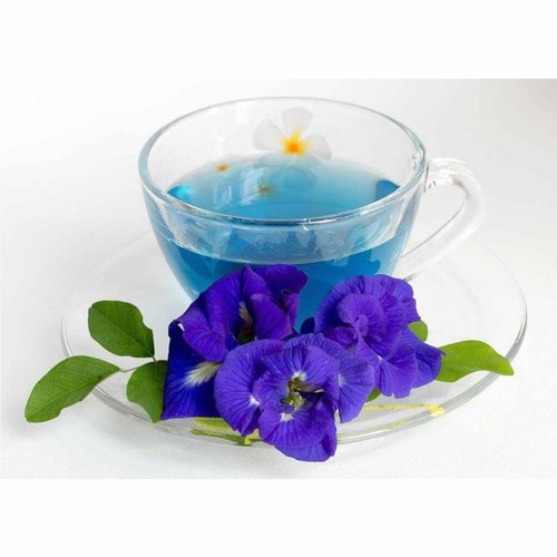 Uống hoa đậu biếc có tác dụng gì cho sức khỏe và nhan sắc?