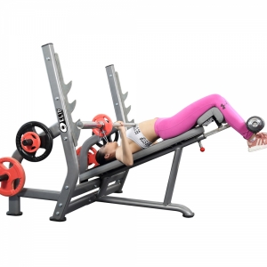Hình sản phẩm Ghế đẩy ngực dưới Elip YL29 New