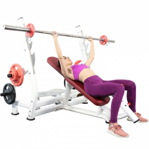 Hình sản phẩm Ghế đẩy ngực trên Elip YL28 New