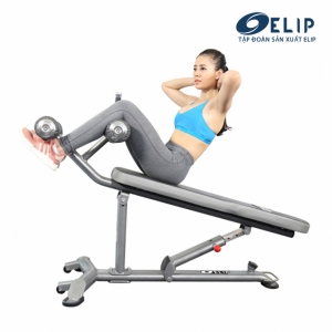 Hình sản phẩm Ghế gập bụng Elip YL36 New