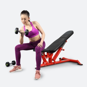 Hình sản phẩm Ghế khởi động đa năng Elip YL37 New