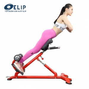 Hình sản phẩm Ghế tập lưng Elip YL33