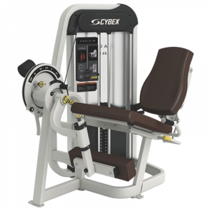 Hình sản phẩm Máy tập chân Elip VR2002 