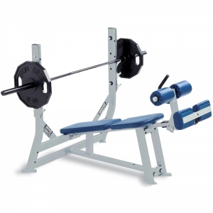Hình sản phẩm Ghế đẩy ngực dưới Elip EB006