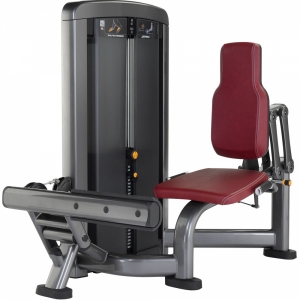 Hình sản phẩm Máy tập bắp chuối Elip INS010