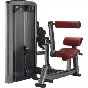 Hình sản phẩm Máy tập lưng bụng Elip INS021 