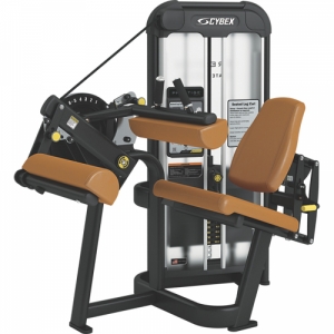 Hình sản phẩm Máy tập chân Elip VR3006